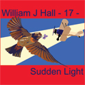 William J Hall, Singer, Songwriter - 17 - Sudden Light